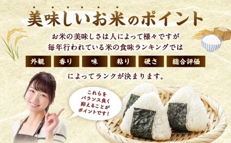 【令和7年産】夢つくし 香春町産 わぎえ米 10kg（5kg×2袋） 夢つくし 白米 米 お米 国産 福岡県産