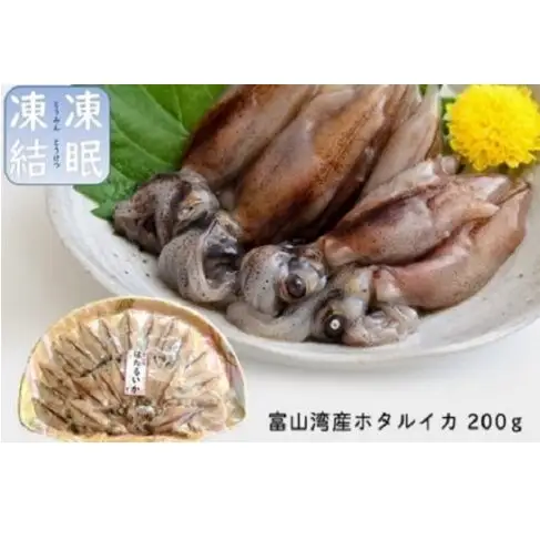 富山湾の神秘”ほたるいか”と富山湾の宝石”白エビ”セット〈冷凍〉