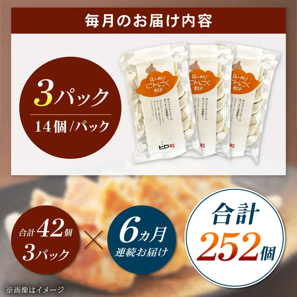 【全6回定期便】【3パック】餃子屋ヒロの ほんのりにんにく餃子 ぎょうざ[BDAS014]
