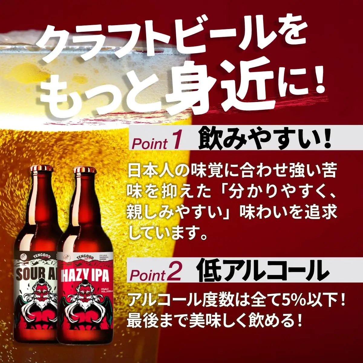 ビール テングビール HAZY IPA 6本