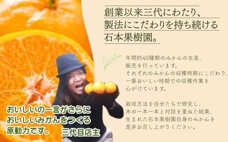 カラマンダリン 訳あり 石本果樹園  約3kg 約20～25玉前後 カラ・マンダリン【min021】