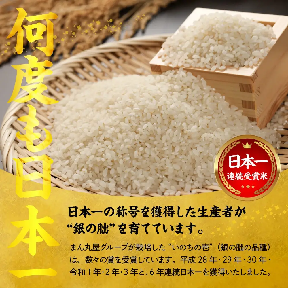 ＜テレビで紹介されました！＞令和8年産 新米【全6回定期便】皇室献上米『銀の朏』3kg 中津川市加子母産 栽培期間中化学肥料不使用 お米 精米 F4N-2890