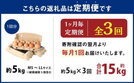 【3ヶ月定期便】 大分県 九重町産 平飼いニワトリの池田卵 ミックスサイズ MS～LLサイズ 計約15kg（約5kg×3回） 卵 たまご 玉子 鶏卵 生卵