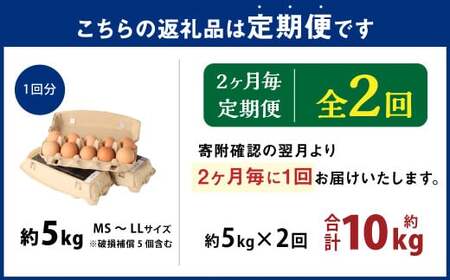 【隔月2回定期便】 大分県 九重町産 平飼いニワトリの池田卵 ミックスサイズ MS～LLサイズ 計約10kg（約5kg×2回） 卵 たまご 玉子 鶏卵 生卵