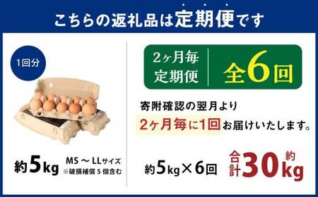 【隔月6回定期便】 大分県 九重町産 平飼いニワトリの池田卵 ミックスサイズ MS～LLサイズ 計約30kg（約5kg×6回） 卵 たまご 玉子 鶏卵 生卵