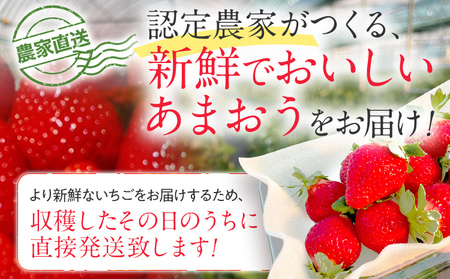 福岡県産あまおう 約250g×4P《2027年3～4月発送》CL002