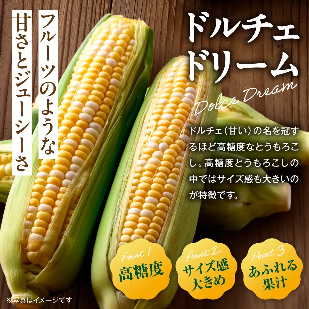 とうもろこし 10本 とうもろこし【アフター保障】