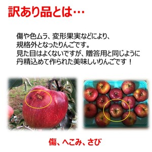 りんご 令和8年10月中旬頃発送 シナノスイート 訳あり 約3キロ！ 信濃三兄弟の一つ【010-e0】