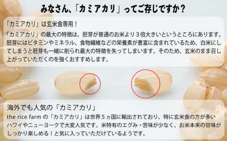 甘酒 幻の玄米 自然栽培 カミアカリ 玄米甘酒 750g 【009-49】　