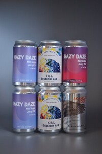 伊那の果物で醸す、フルーティーなクラフトビール6本セット　350mL缶×6本（種類お任せ　3種以上）【017-17】