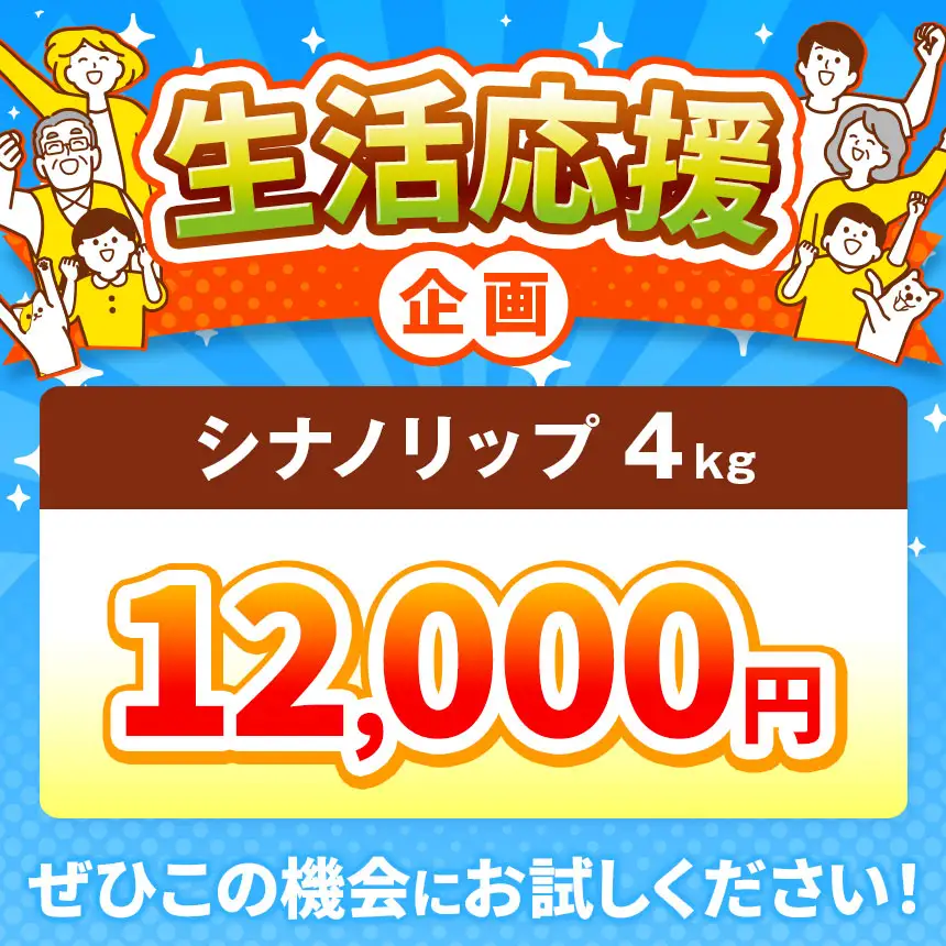 りんご 信州産の夏りんご 美味しさNO.1 さわやかな酸味 シナノリップ 約4kg 【012-64】