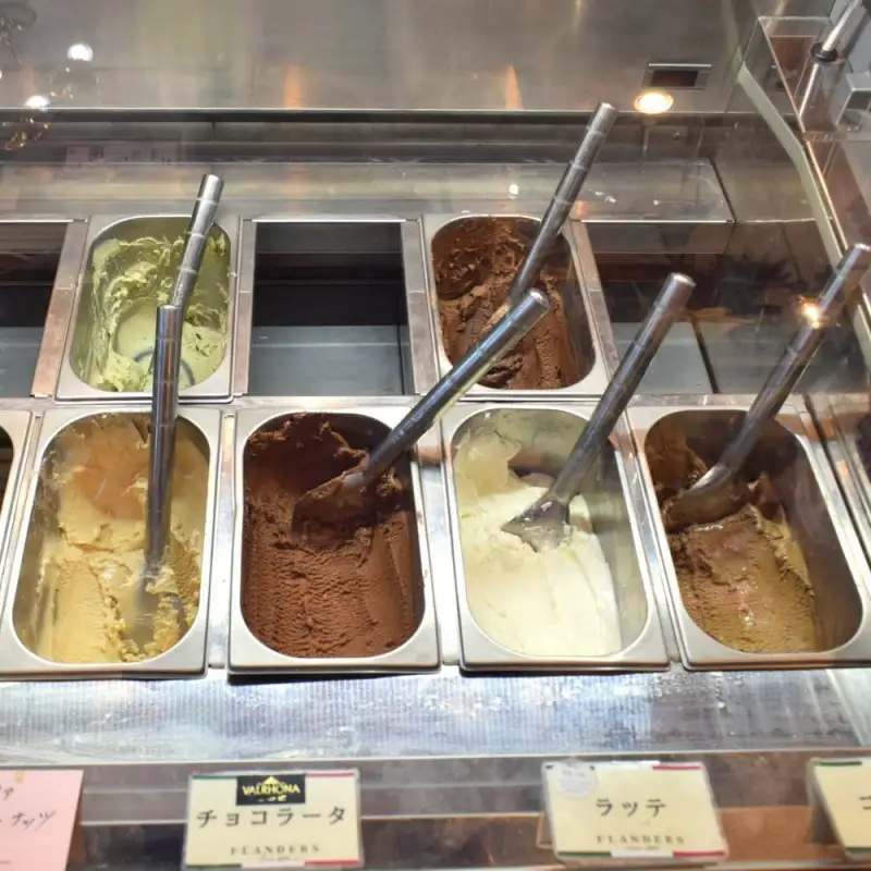 創業30年の老舗が作った濃厚なめらかジェラート　おすすめのラッテとチョコラータの5個入り / ジェラート アイス クリーム アイスクリーム おやつ チョコレート チョコ 【tecj1010】