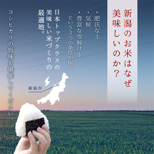 コシヒカリ 新潟県産 10㎏ 5㎏×2 米 産地直送 コシヒカリ
