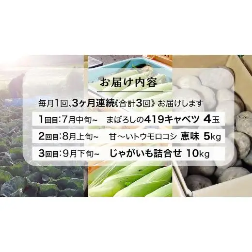 【 2025年 7月 発送開始 】 《3か月定期便》旬の野菜3種 419キャベツ 恵味トウモロコシ じゃがいも きゃべつ 嬬恋村産キャベツ 羽生田売店 幻のキャベツ419 [AL018tu]