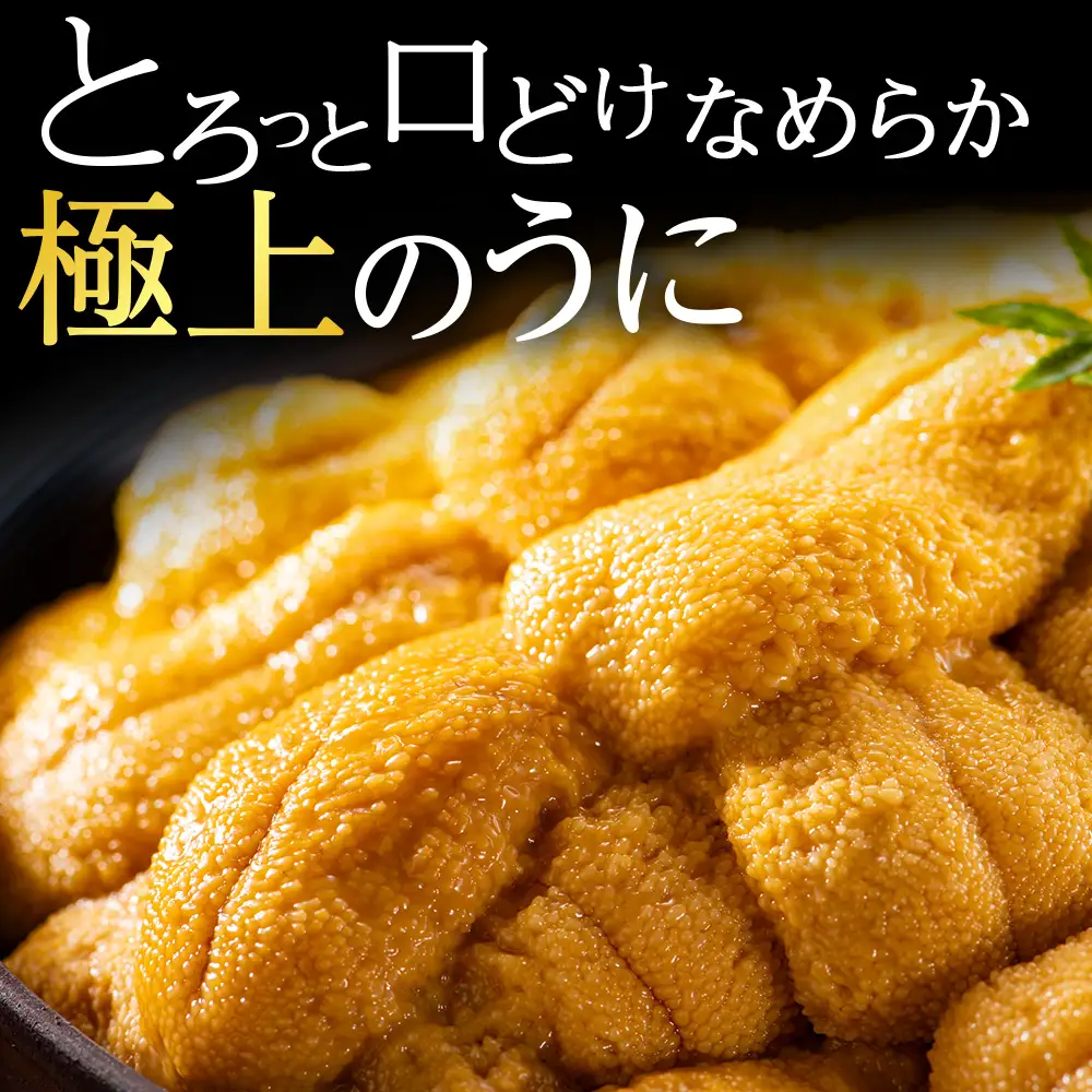 【厳選PREMIUM】美味しいウニは昆布の名産地にあり!生むらさきうに240g