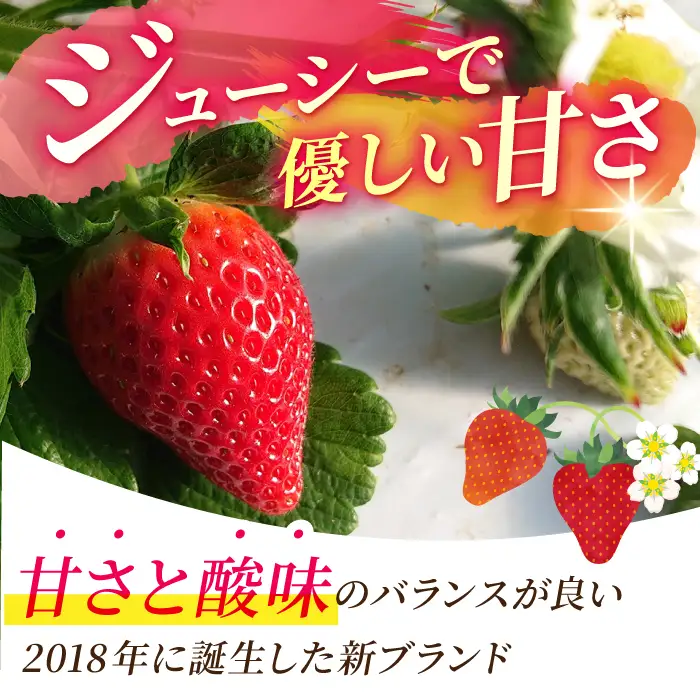  いちごさん 150g×6パック いちご IAK016