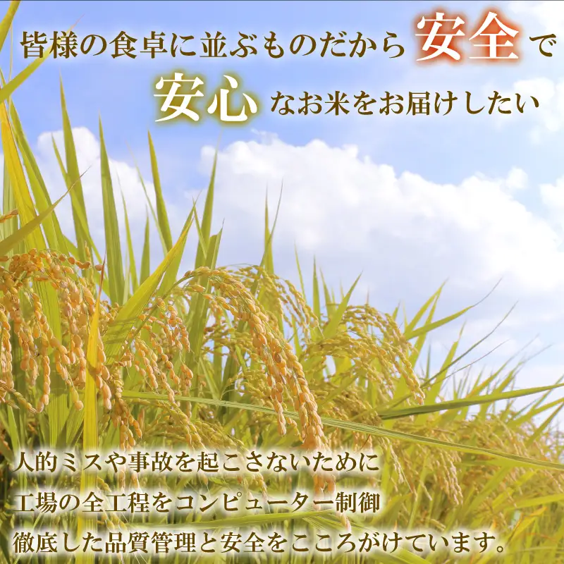 令和7年福岡県産夢つくし精米 10kg(5kg×2) 米 お米 白米 ご飯 飯 防災 備蓄 防災 5kg コメ メシ 朝食 夕ご飯 お弁当 おにぎり 長期保存 福岡県産米 福岡 川崎町