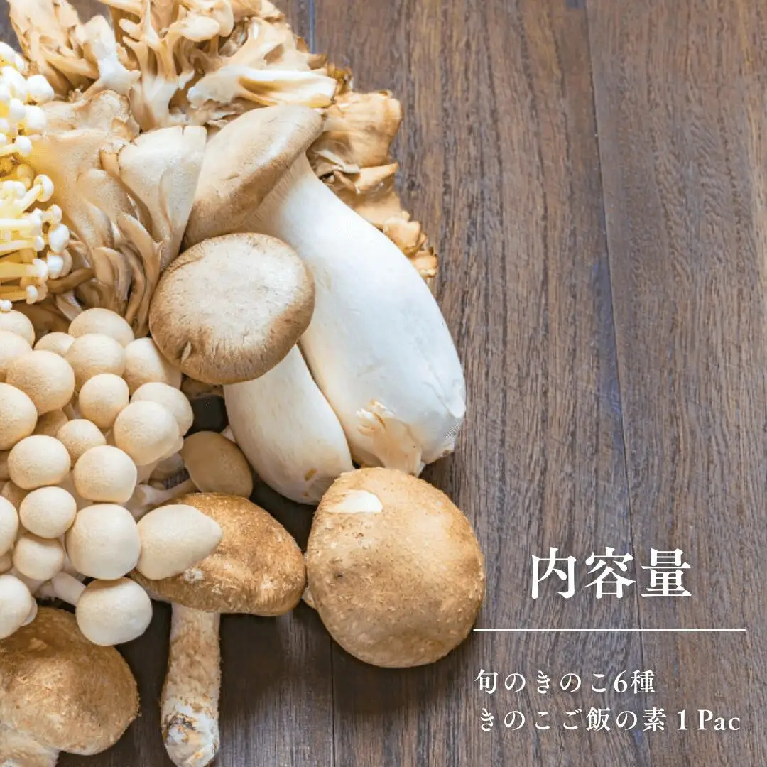 【定期便3ヶ月】旬のきのこ6種+きのこご飯の素セット｜ きのこ きのこ きのこ きのこ きのこ