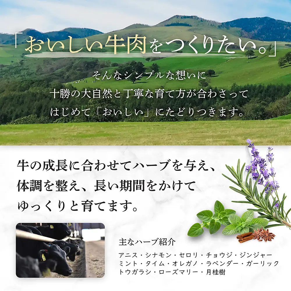 十勝ハーブ牛 サーロイン ステーキ 計800g（200g×4枚） 累計9万パック突破 高評価ステーキ 国産 北海道 牛 肉 牛肉 国産牛 赤身 サーロインステーキ 真空パック キャンプ アウトドア バーベキュー BBQ 冷凍