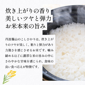 【令和7年産】 丹波篠山産 コシヒカリ 5kg 白米 白米 単一原料米 産地直送米 おいしい お米 精米 コシヒカリ ブランド おこめ 健康 送料無料 おすすめ 人気 口コミ MTS002