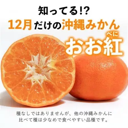 【2026年12月頃から順次発送】国頭村産の島みかん おお紅 3kg やんばる育ちの希少柑橘【1618480】