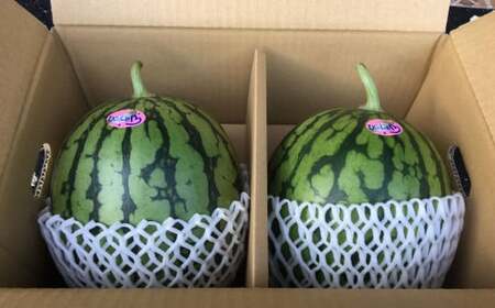 ＜ R8年熊本地震復興支援 ＞熊本特産！小玉スイカ 2玉入り すいか スイカ 西瓜 果物 フルーツ 【2027年6月発送予定】