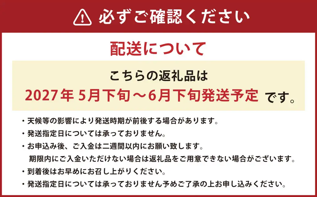 ＜ R8年熊本地震復興支援 ＞熊本特産！肥後グリーンメロン 2玉入り メロン 特産 果物 フルーツ 【2027年5月下旬～6月下旬発送予定】