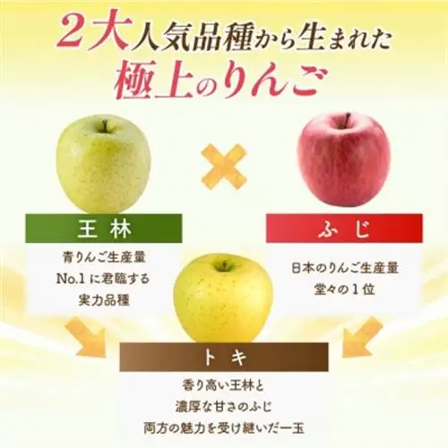 【26年10月～11月順次出荷予定】平均糖度13度以上! トキ 約10kg 訳あり　青森りんご_果物・フルーツ りんご  リンゴ 林檎_【配送不可地域：沖縄県】【1611810】