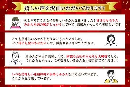 【期間限定発送】 みかん 温州みかん 10kg