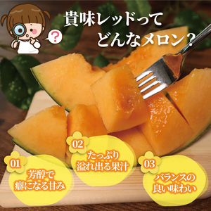 【先行受付】 メロン 訳あり 赤肉 約10kg ❘ メロン
