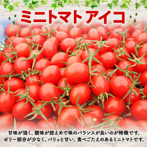 【先行予約】アイコ ミニトマト 2.1kg トマト 牧之原 静岡県 松下農園