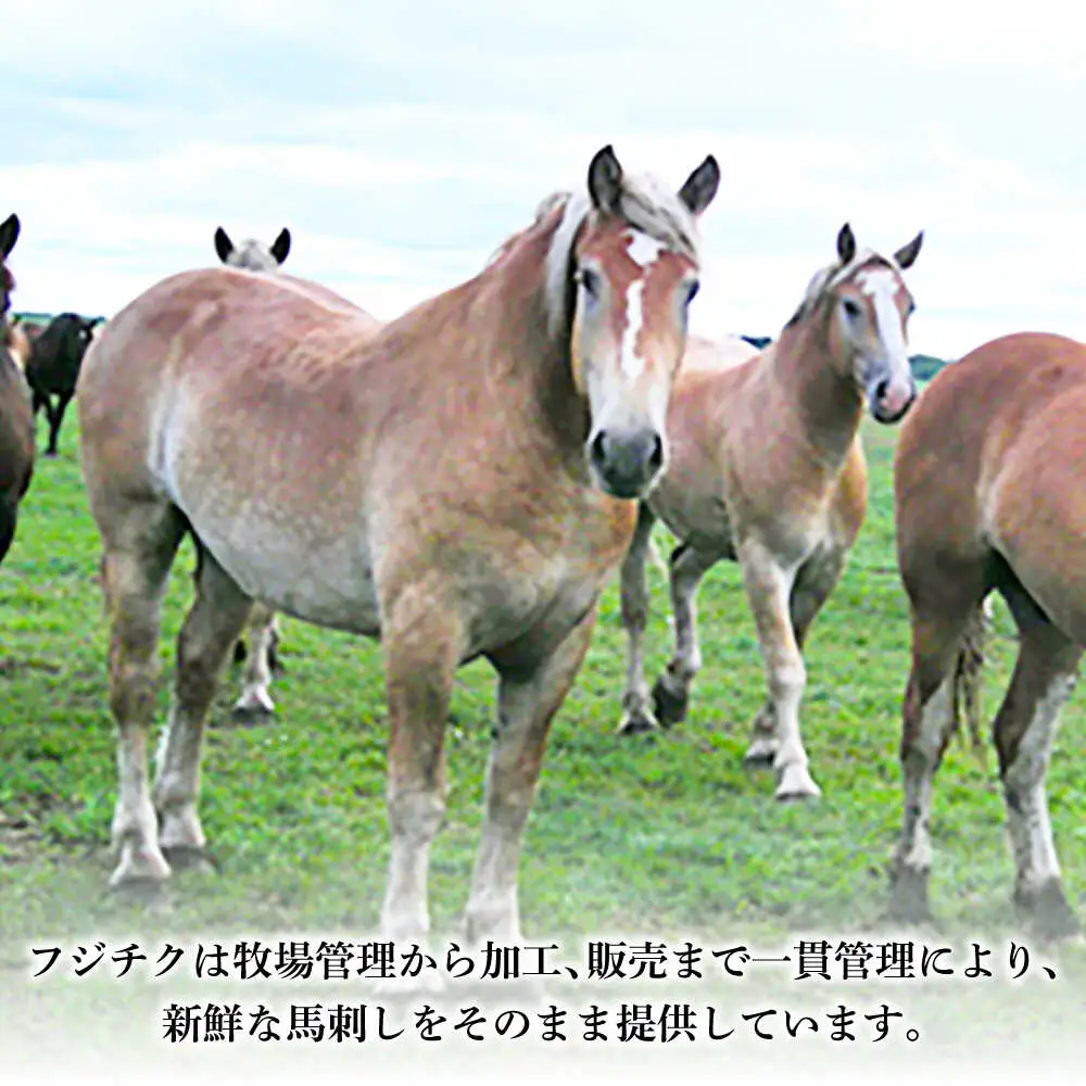 全6回定期便 熊本特産 馬刺しユッケ2種とネギトロの食べ比べセット 馬刺し 3888 BHAD058