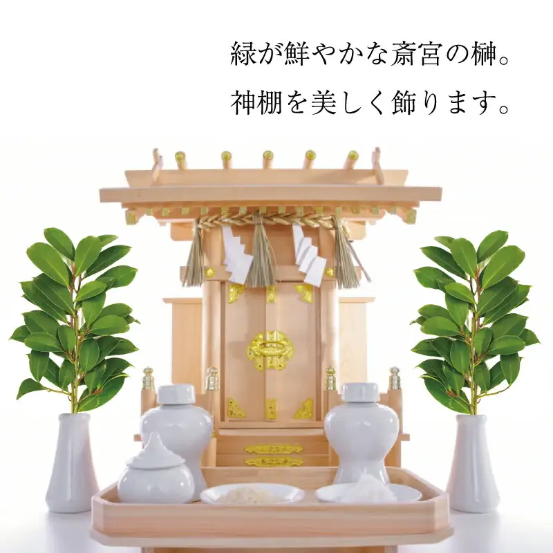 神棚用 榊  1対（2束）約25cm 神棚 さかき お供え 生花 本榊 サカキ 仏花 神具 国産 斎宮の榊