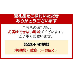 ライオン「 ソフラン プレミアム消臭」（ソープの香り）本体・替セット（510g×2本＋380g×10袋）【 柔軟剤 洗濯 詰替え ライオン 】