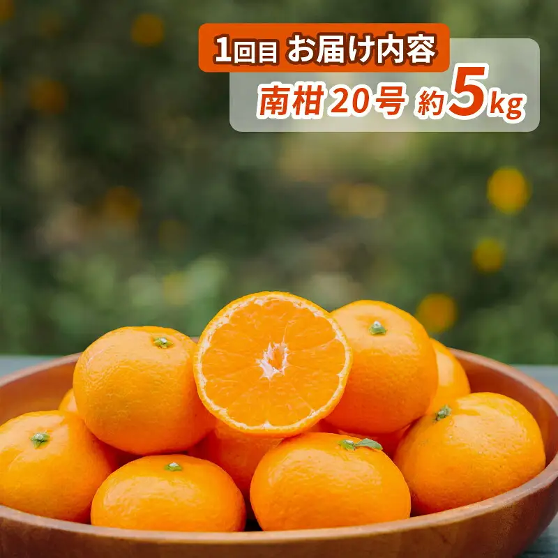シトラス フルーツ ＆ ジュース 4回 定期便 コルレオファーム 不知火 デコポン ( デコポン と同品種) 南柑20号 ブラッドオレンジ モロ 甘平 はるか ポンカン タロッコ せとか 清見 シトラスジュース 720ml B052-145019