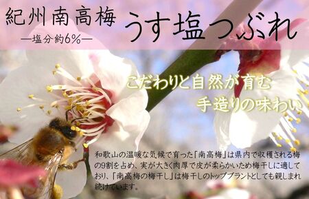 紀州南高梅うす塩つぶれ（塩分約6％）700ｇ×2_YD1001