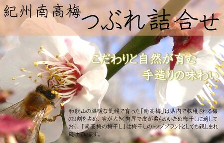 紀州南高梅つぶれ梅詰合せ_YD1003
