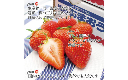 【3回定期便】 博多 あまおう （250g-270g）×4パック いちご 苺 イチゴ あまおう フルーツ 果物 くだもの 定期 福岡県 岡垣町 【2027年2月上旬-4月下旬発送予定】