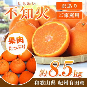 【2027年先行予約】紀州有田産 不知火 (しらぬい)【家庭用 訳あり】8.5kg_G7359