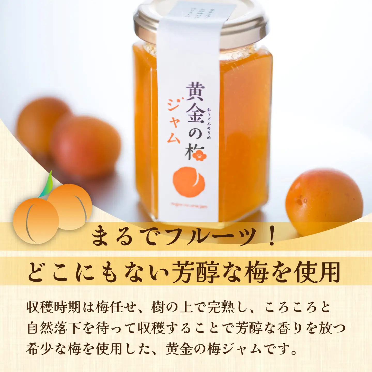 まるでフルーツ！希少な梅から「黄金の梅ジャム」12本 [D-178001] / 加工品 調味料 ジャム 季節ジャム パン ジャムティー ヨーグルト 料理 手造り 詰合せ