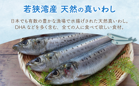 若狭高浜レモンいわし缶 24缶セット (いわし味付）非常食 防災