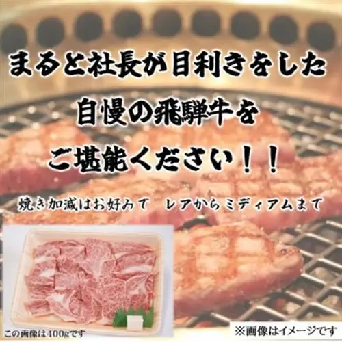 【飛騨牛】ロース・肩ロース焼き肉　500g(牛脂付き)【配送不可地域：離島】【1619911】