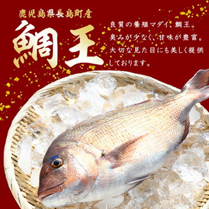 【お刺身用】ロイン2種詰め合わせ 約900g 切って盛るだけ ロイン 鯛王4節 シマアジ4節 届いてすぐに食べれる 長島町 冷蔵 ふるさと納税 【JFA】jfa-7137