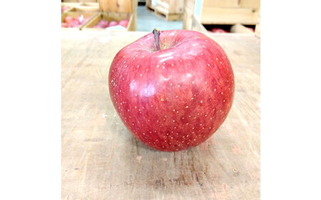 青森りんご サンふじ 特選品 (大玉) 約5kg (12玉) 【マルス果樹園】 F21U-295