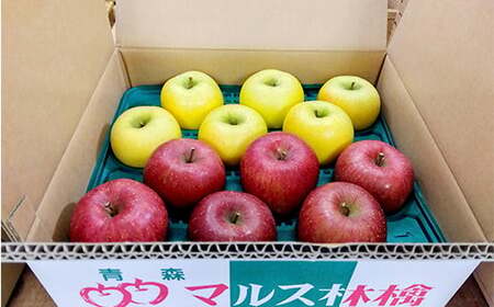 青森りんご サンふじ ・ シナノゴールド 2種セット 約5kg 【マルス果樹園】 F21U-294