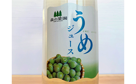 うめジュース (1000ml瓶×６本) 【森の菜園】 F21U-197