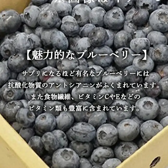 朝採り 生ブルーベリー サイズ・品種 混合 約1kg（小～大） 【川守田観光さくらんぼ園】 F21U-169