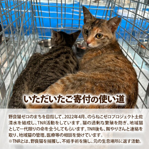 のらねこゼロプロジェクト 一口 1,000円（300円分）返礼品なし【のらねこゼロプロジェクト】【R01382】