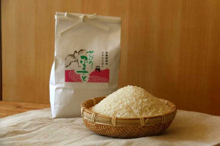 特別栽培米〈とちぎの星〉10kg ≪米 お米 白米 ご飯 栃木県産≫ ※2026年9月～発送