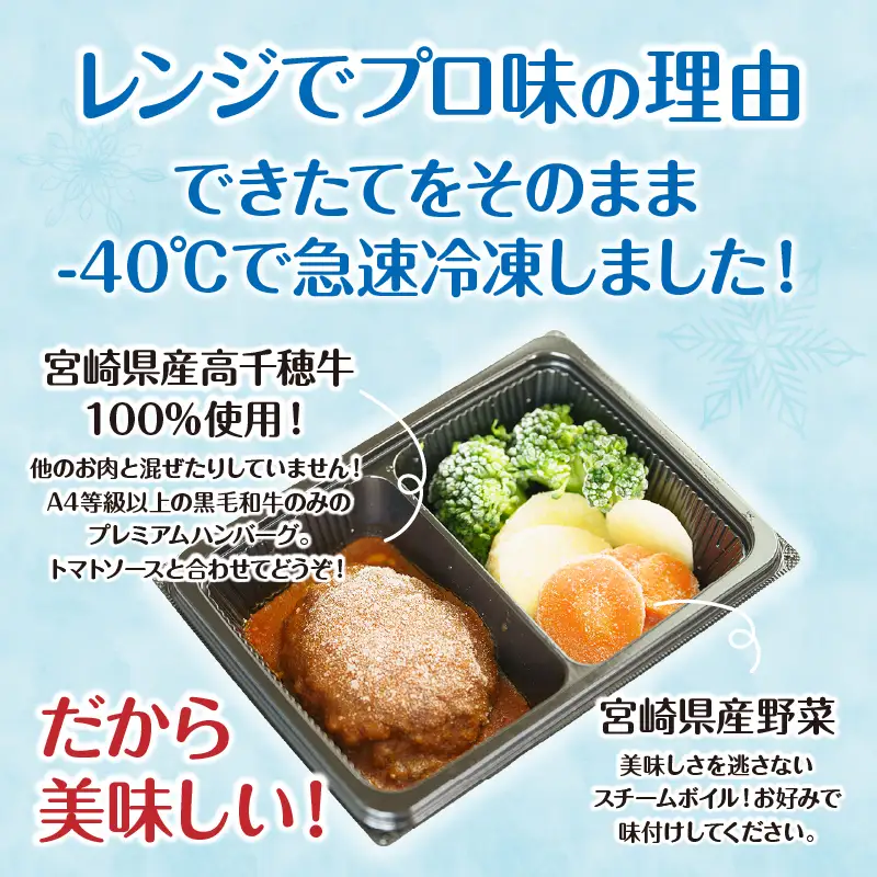 【6か月定期便】レンジでプロ味！定期便黒毛和牛 コロッケ からあげ ジューシー 鶏もも肉 スパイス ハンバーグ 温野菜 プレート 高千穂牛 旨み チキン南蛮 レンジ 定期便 冷凍 冷凍食品 簡単調理 時短調理 一人暮らし 献立 弁当_Tk005-t042